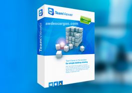 TeamViewer Portable